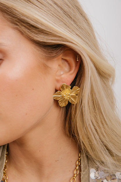 Aros Flor