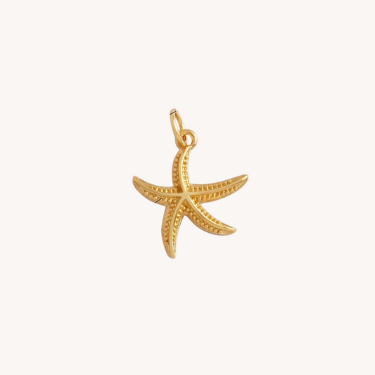 CHARM | Estrella de Mar