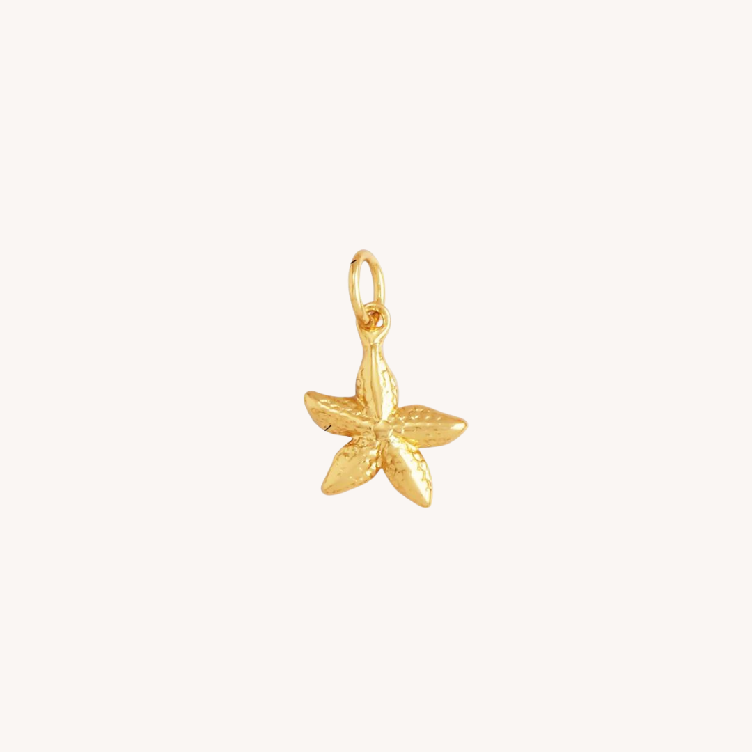 CHARM | Estrella de Mar Petit