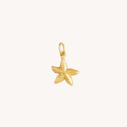 CHARM | Estrella de Mar Petit