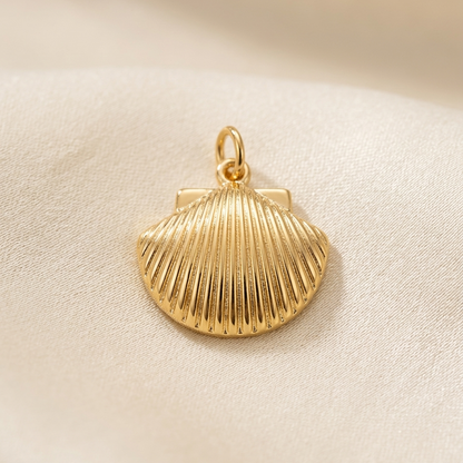 CHARM | Concha