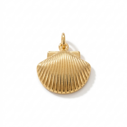 CHARM | Concha
