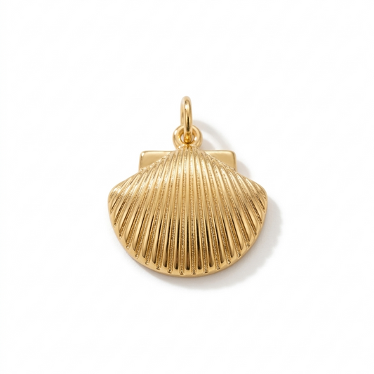 CHARM | Concha