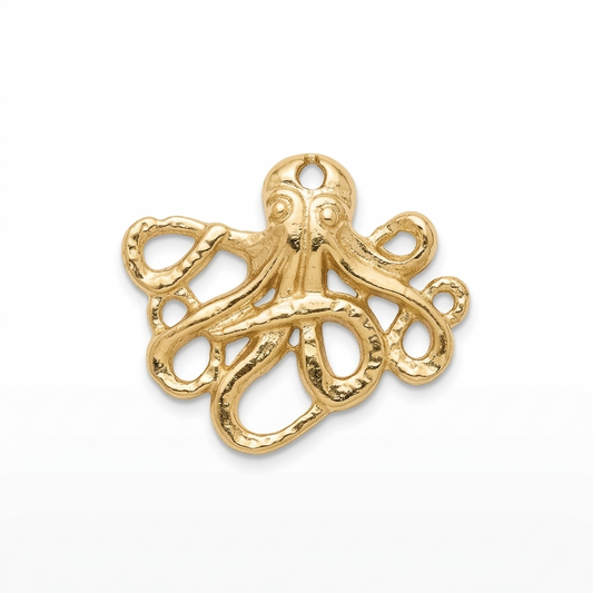 CHARM | Pulpo