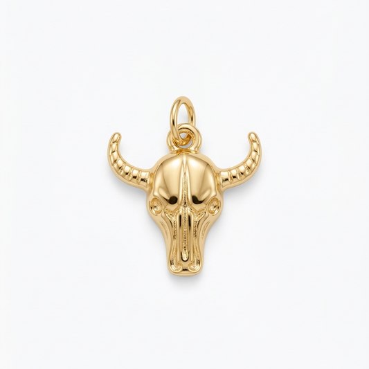 CHARM | Toro